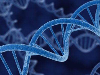 Genotoxic Impurities - SynThink