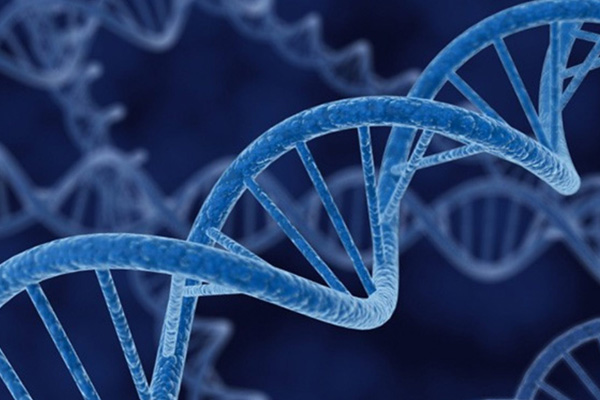 Genotoxic Impurities - SynThink